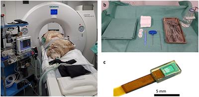 A Novel Translational Ovine Pulmonary Adenocarcinoma Model for Human Lung Cancer